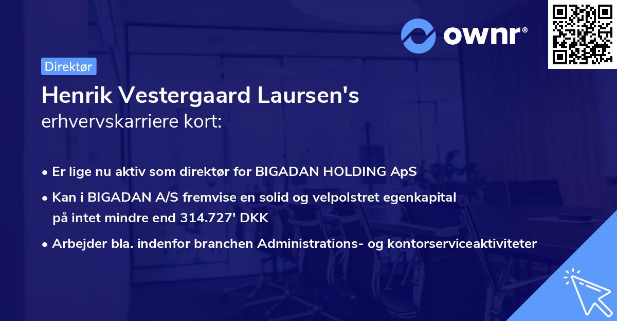Henrik Vestergaard Laursen's erhvervskarriere kort