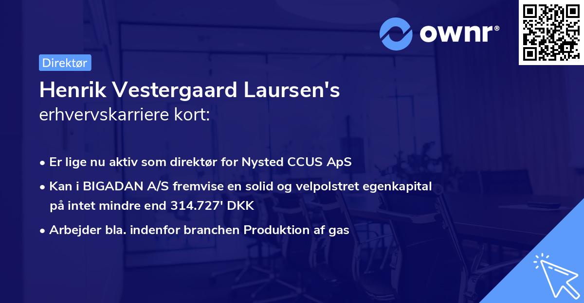 Henrik Vestergaard Laursen's erhvervskarriere kort