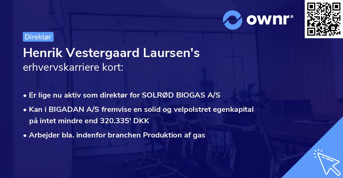 Henrik Vestergaard Laursen's erhvervskarriere kort