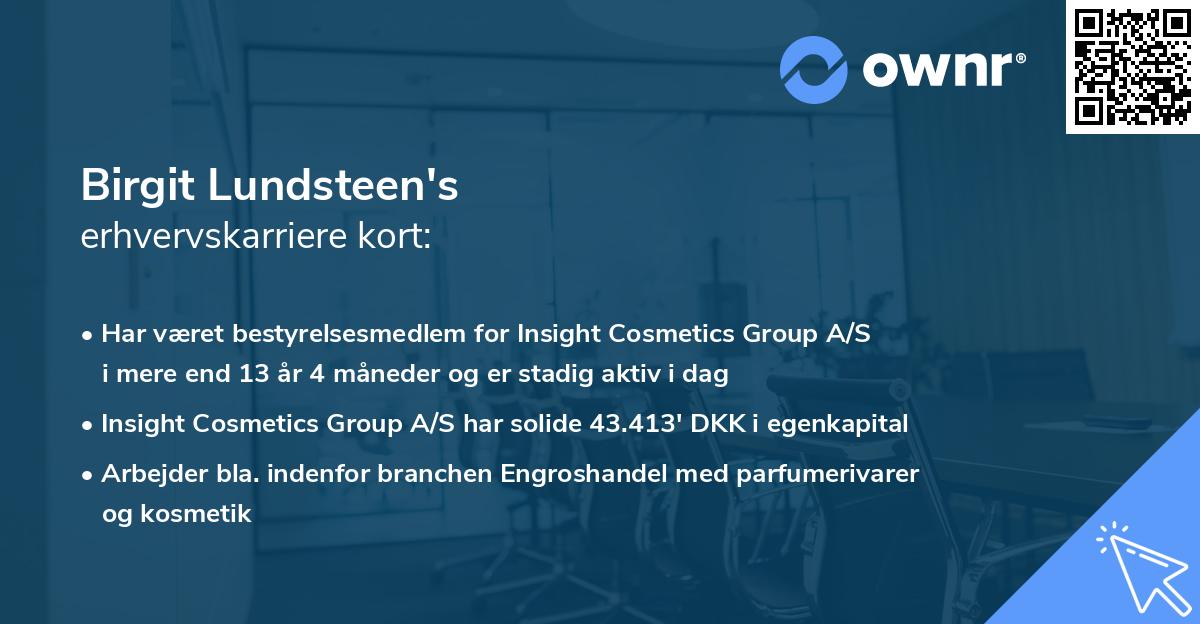 Birgit Lundsteen's erhvervskarriere kort