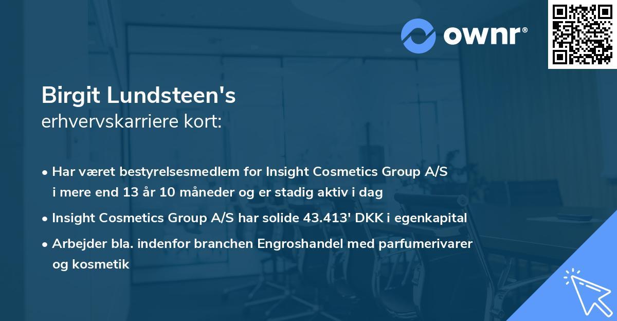 Birgit Lundsteen's erhvervskarriere kort