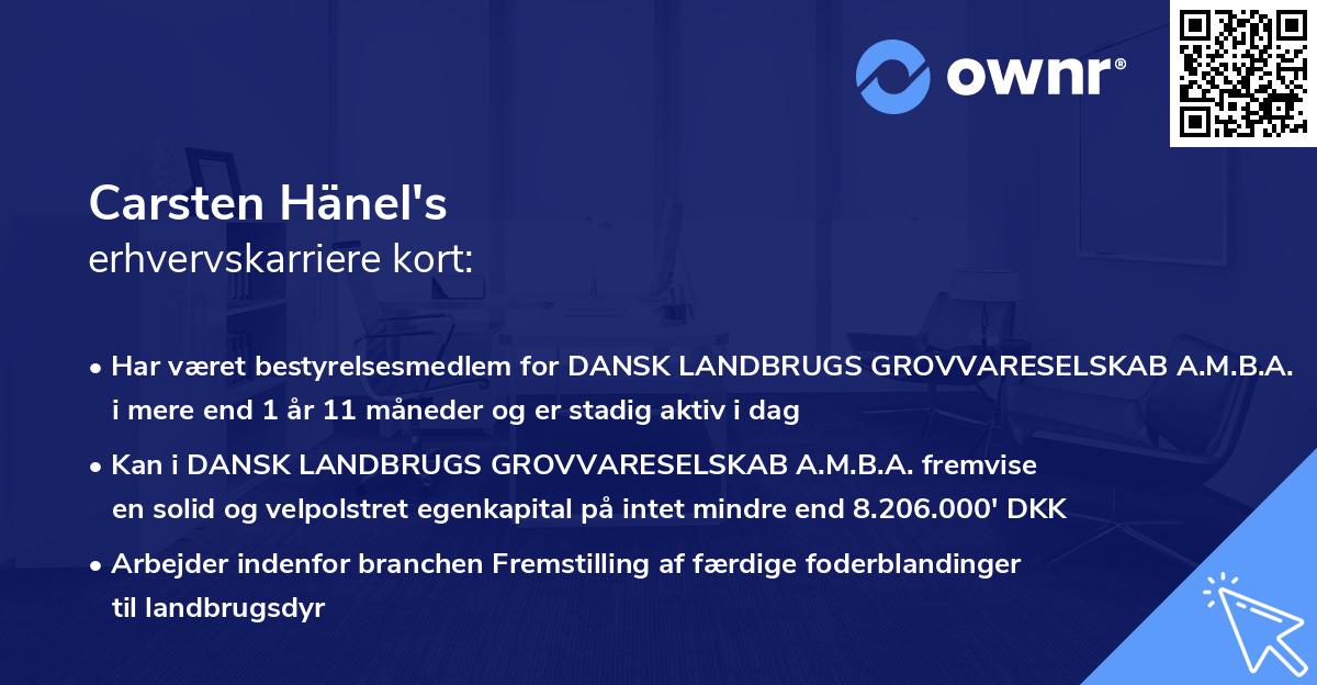 Carsten Hänel's erhvervskarriere kort