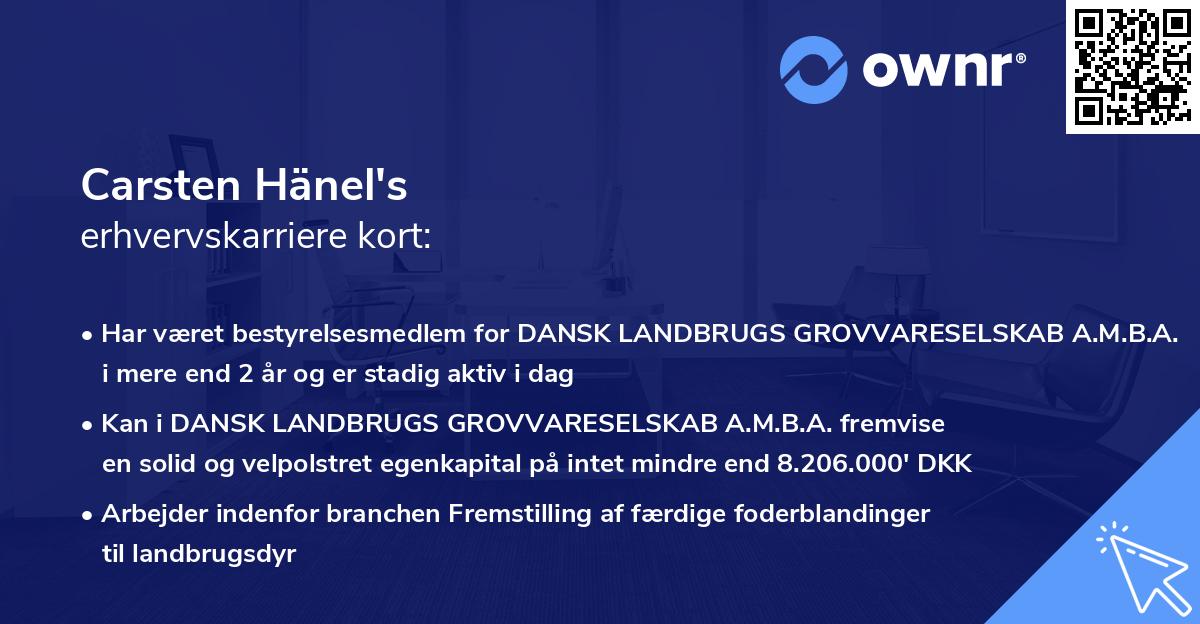 Carsten Hänel's erhvervskarriere kort
