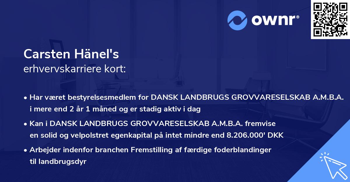 Carsten Hänel's erhvervskarriere kort