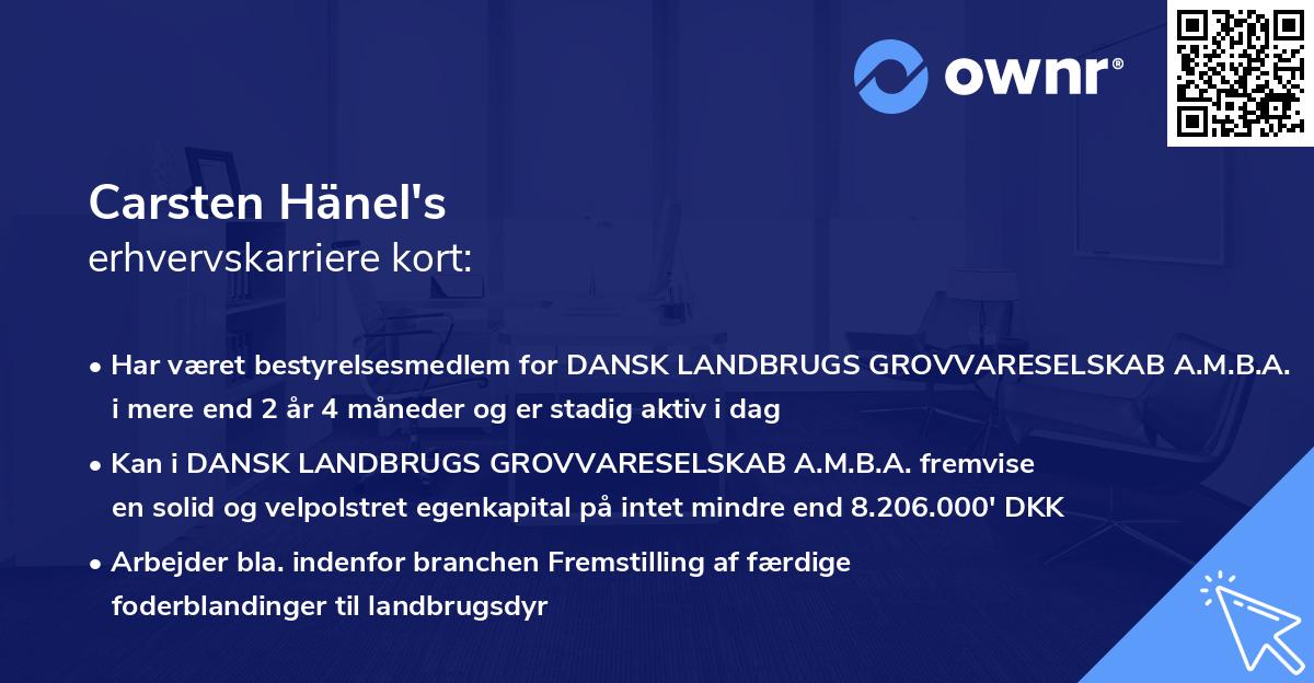 Carsten Hänel's erhvervskarriere kort