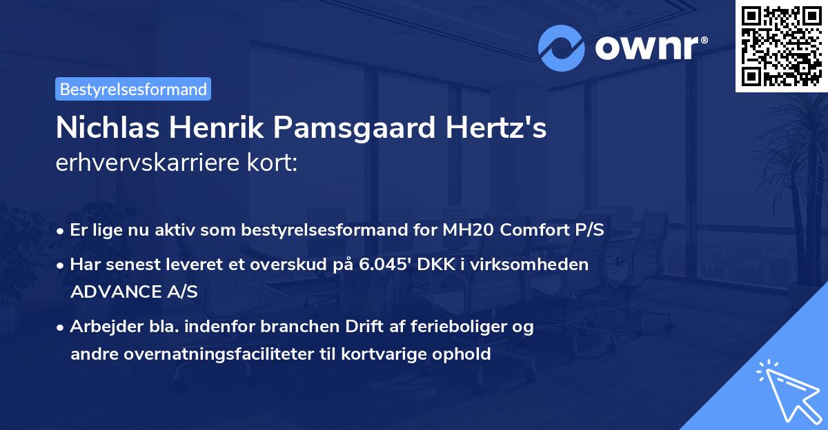 Nichlas Henrik Pamsgaard Hertz's erhvervskarriere kort