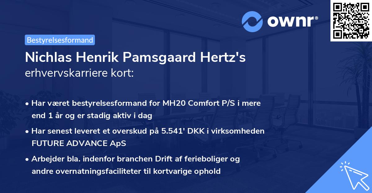 Nichlas Henrik Pamsgaard Hertz's erhvervskarriere kort