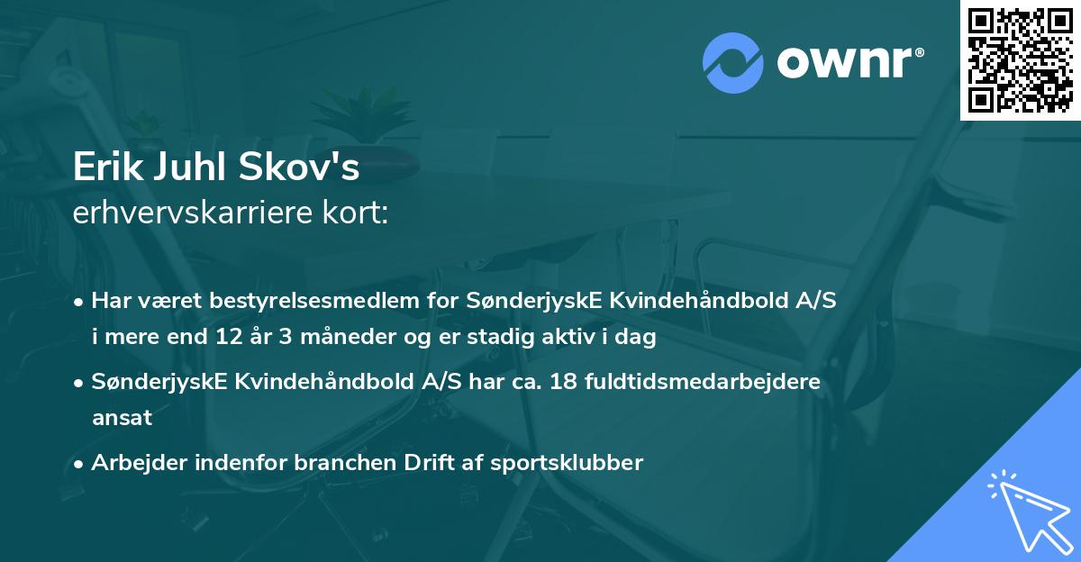 Erik Juhl Skov's erhvervskarriere kort