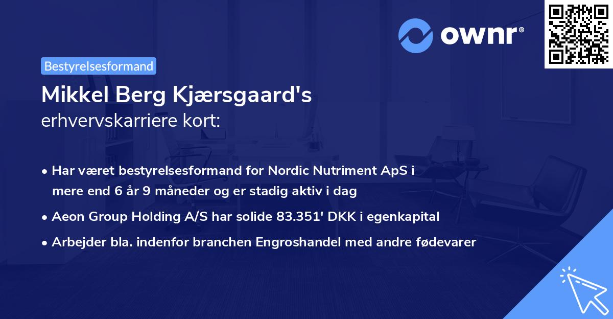 Mikkel Berg Kjærsgaard's erhvervskarriere kort