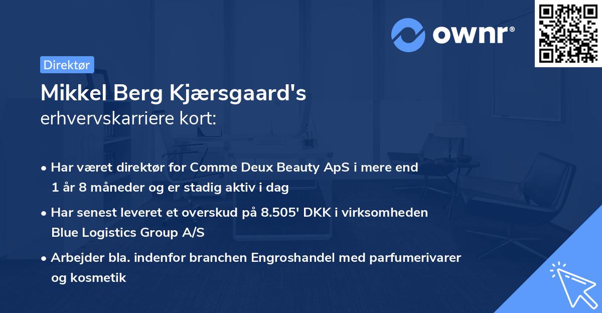 Mikkel Berg Kjærsgaard's erhvervskarriere kort