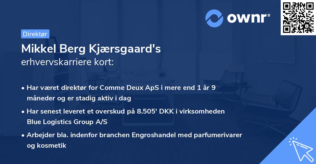 Mikkel Berg Kjærsgaard's erhvervskarriere kort