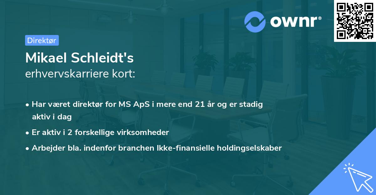 Mikael Schleidt's erhvervskarriere kort