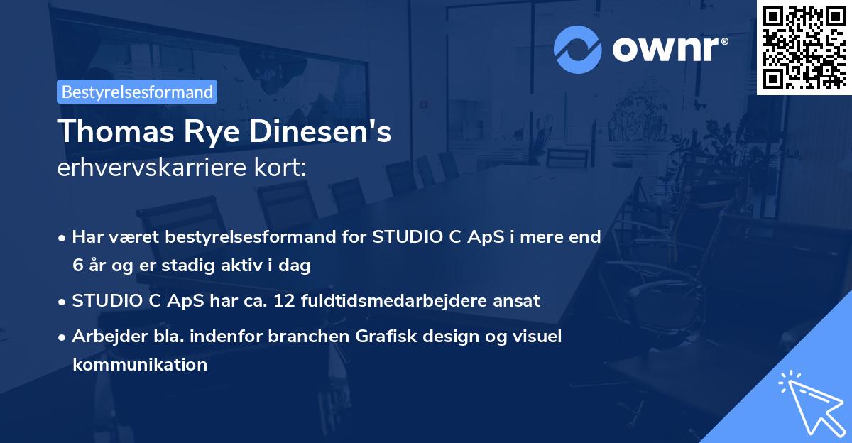 Thomas Rye Dinesen's erhvervskarriere kort