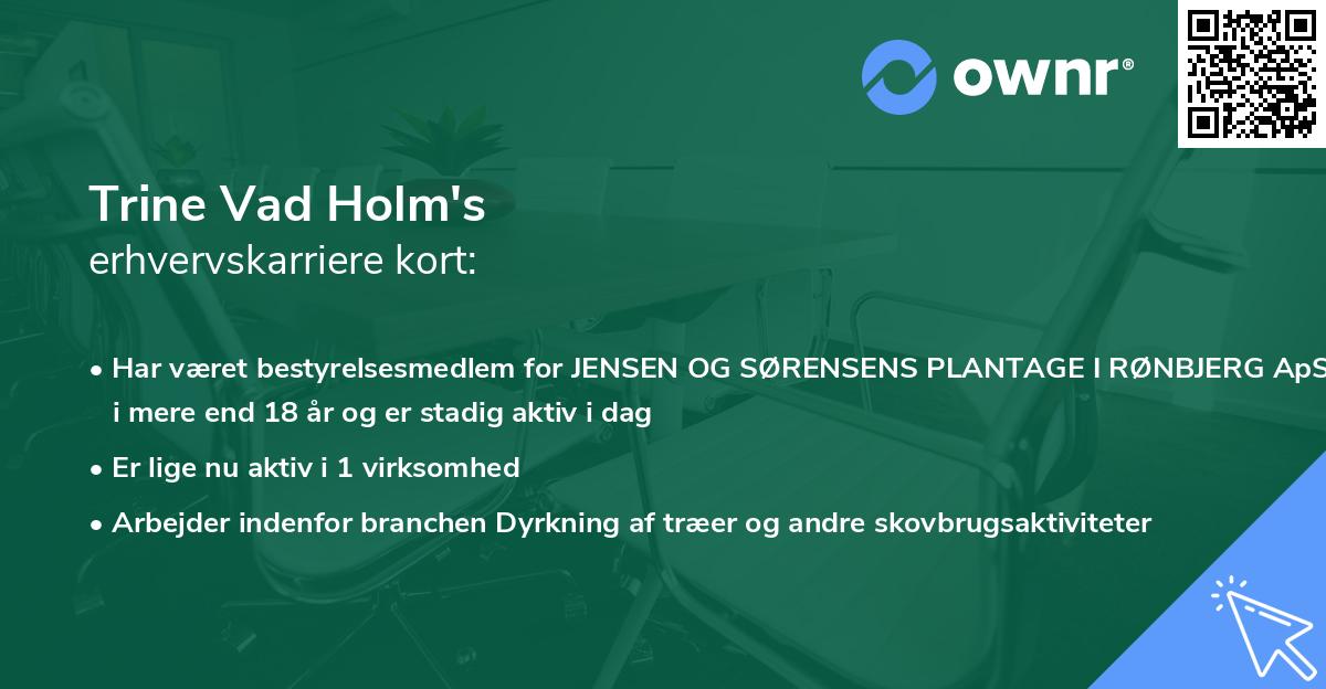 Trine Vad Holm's erhvervskarriere kort