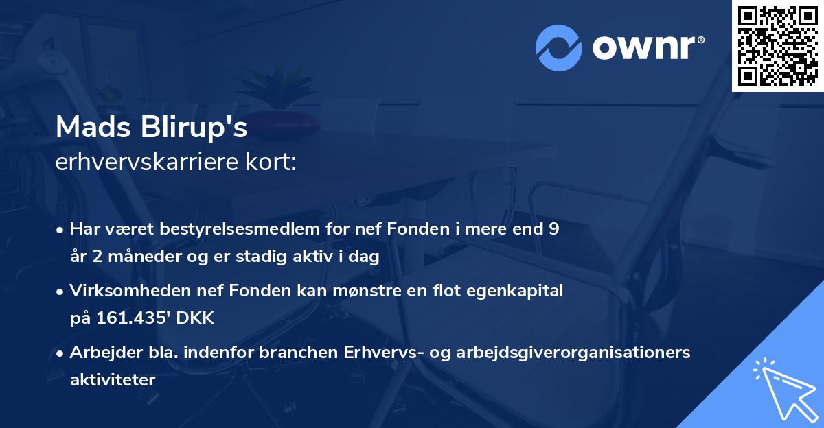 Mads Blirup's erhvervskarriere kort