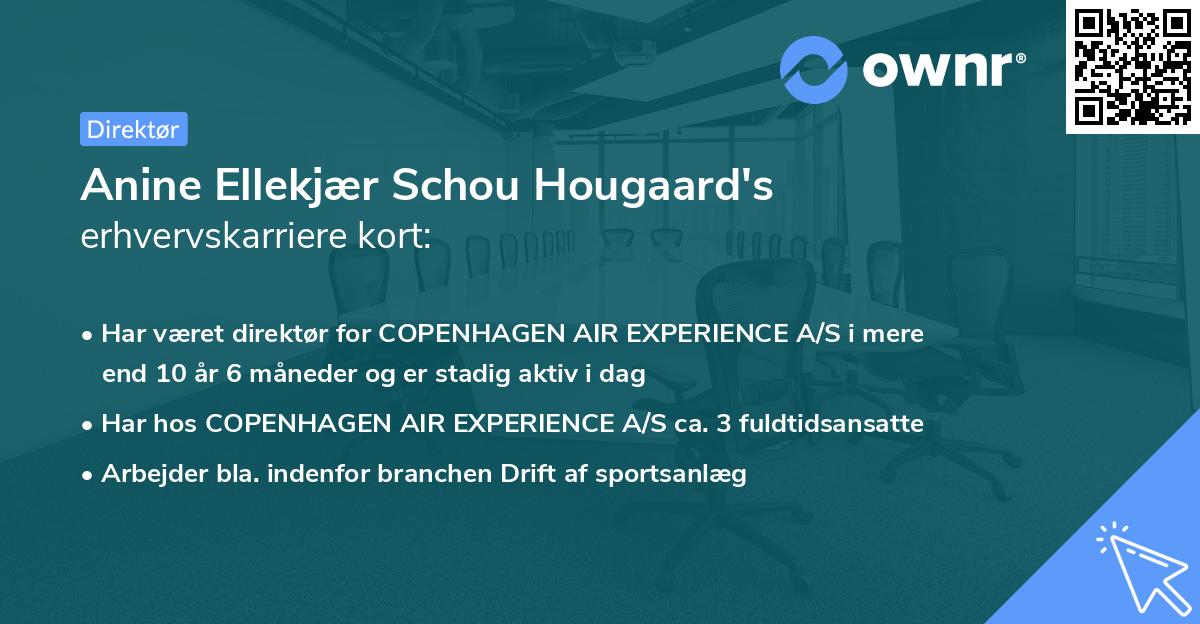 Anine Ellekjær Schou Hougaard's erhvervskarriere kort