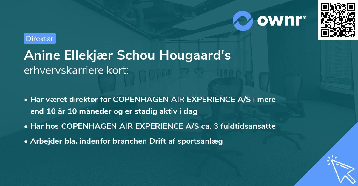 Anine Ellekjær Schou Hougaard's erhvervskarriere kort