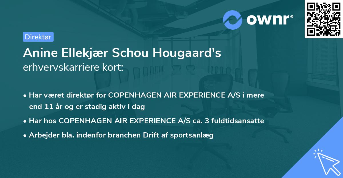 Anine Ellekjær Schou Hougaard's erhvervskarriere kort