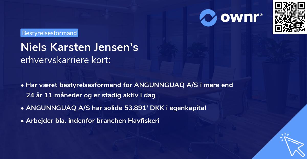 Niels Karsten Jensen's erhvervskarriere kort