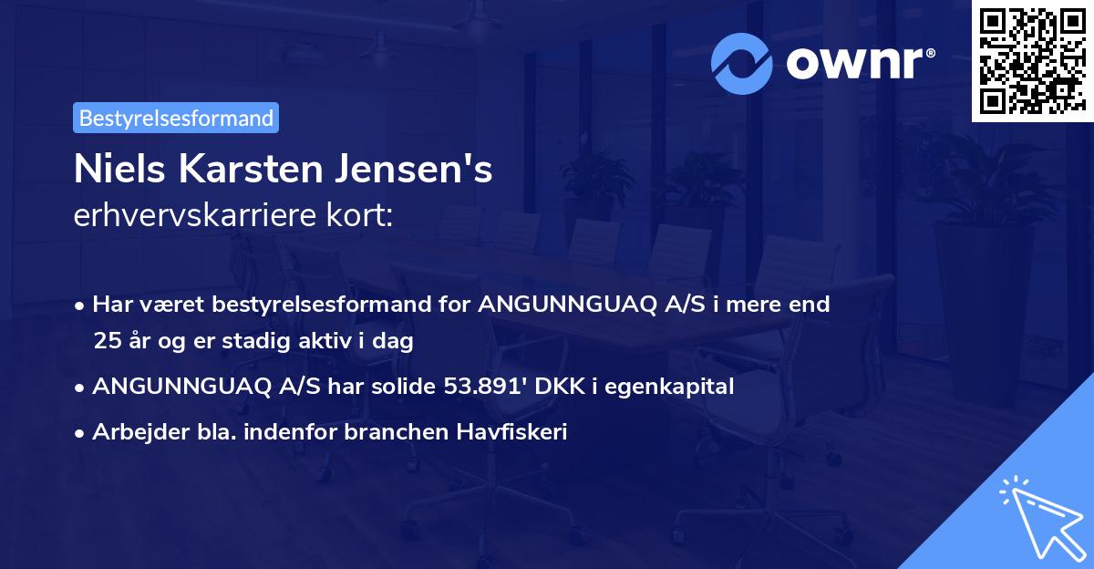 Niels Karsten Jensen's erhvervskarriere kort