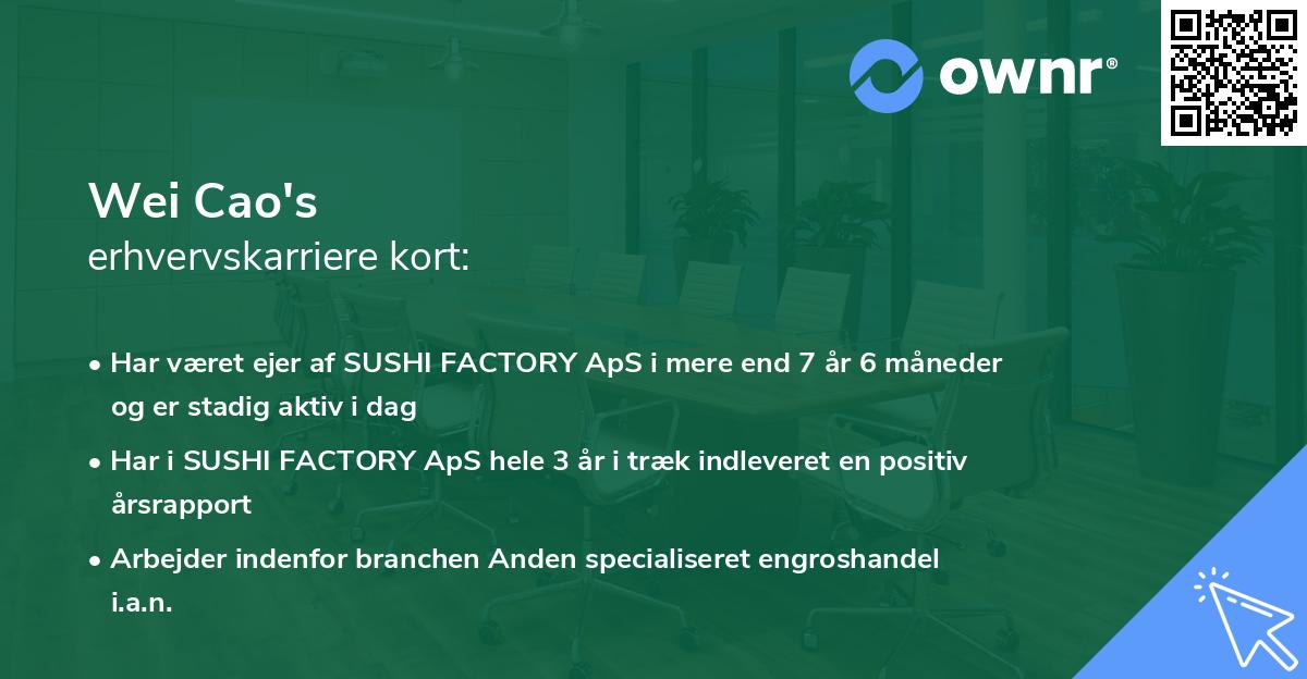Wei Cao's erhvervskarriere kort