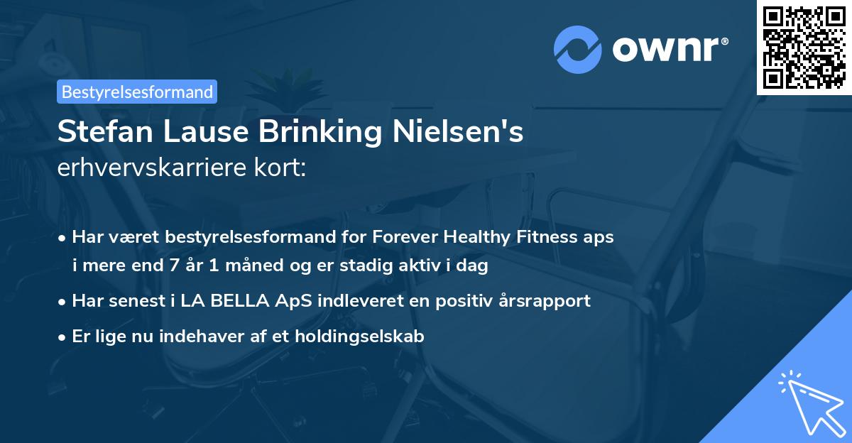 Stefan Lause Brinking Nielsen's erhvervskarriere kort