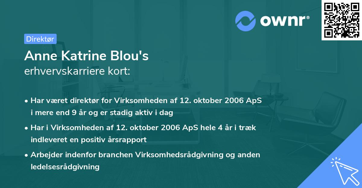 Anne Katrine Blou's erhvervskarriere kort
