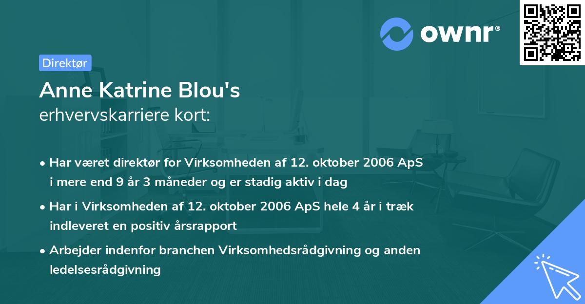 Anne Katrine Blou's erhvervskarriere kort