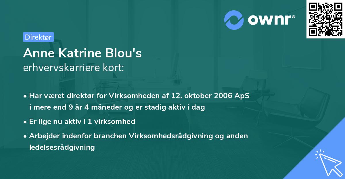 Anne Katrine Blou's erhvervskarriere kort
