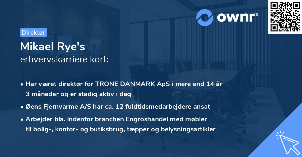 Mikael Rye's erhvervskarriere kort