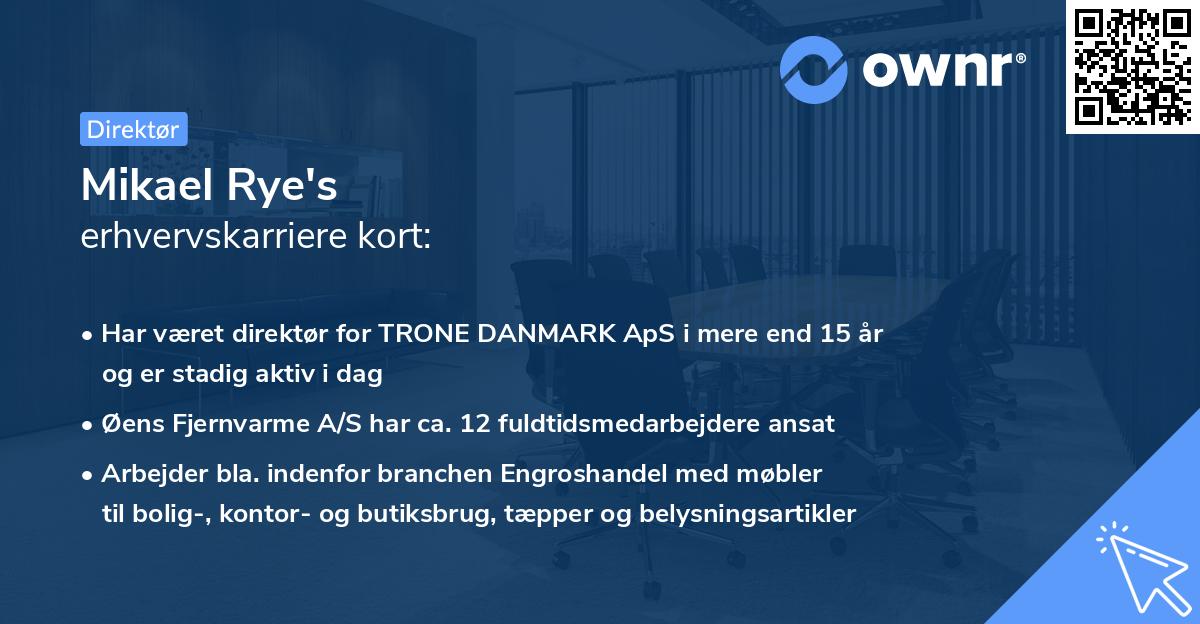 Mikael Rye's erhvervskarriere kort