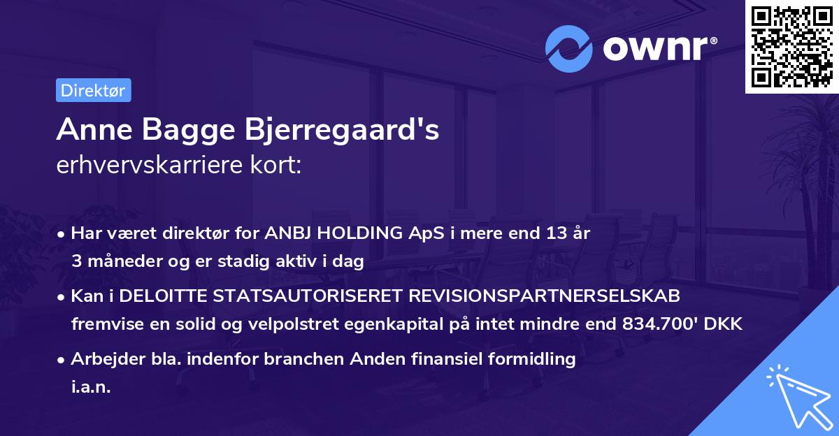 Anne Bagge Bjerregaard's erhvervskarriere kort