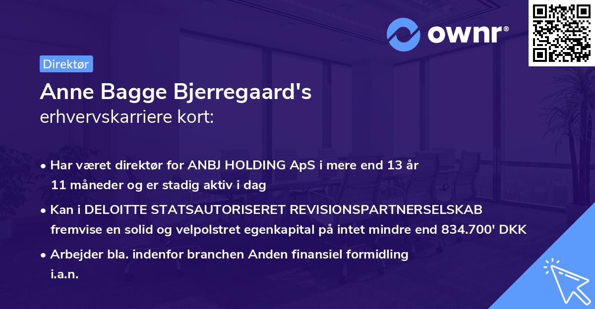 Anne Bagge Bjerregaard's erhvervskarriere kort