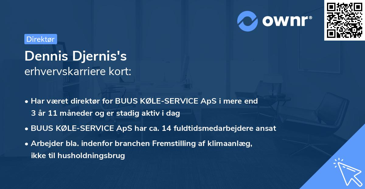 Dennis Djernis's erhvervskarriere kort