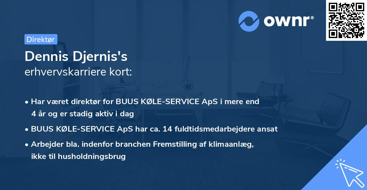 Dennis Djernis's erhvervskarriere kort