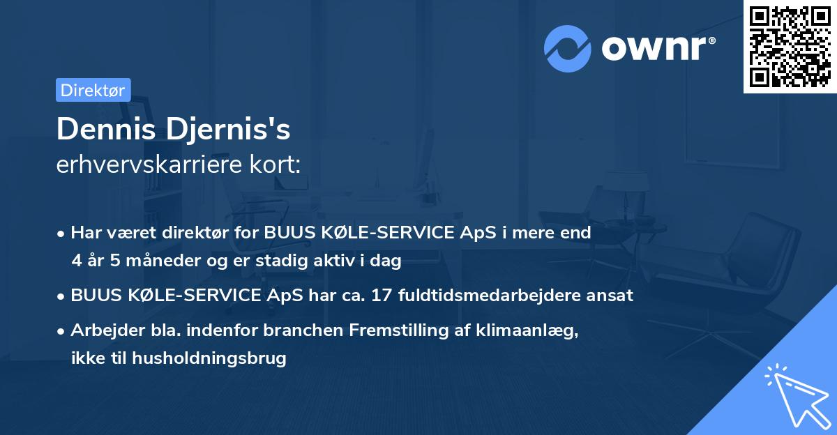 Dennis Djernis's erhvervskarriere kort