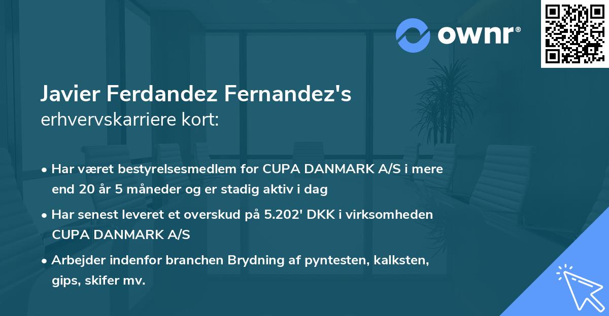 Javier Ferdandez Fernandez's erhvervskarriere kort