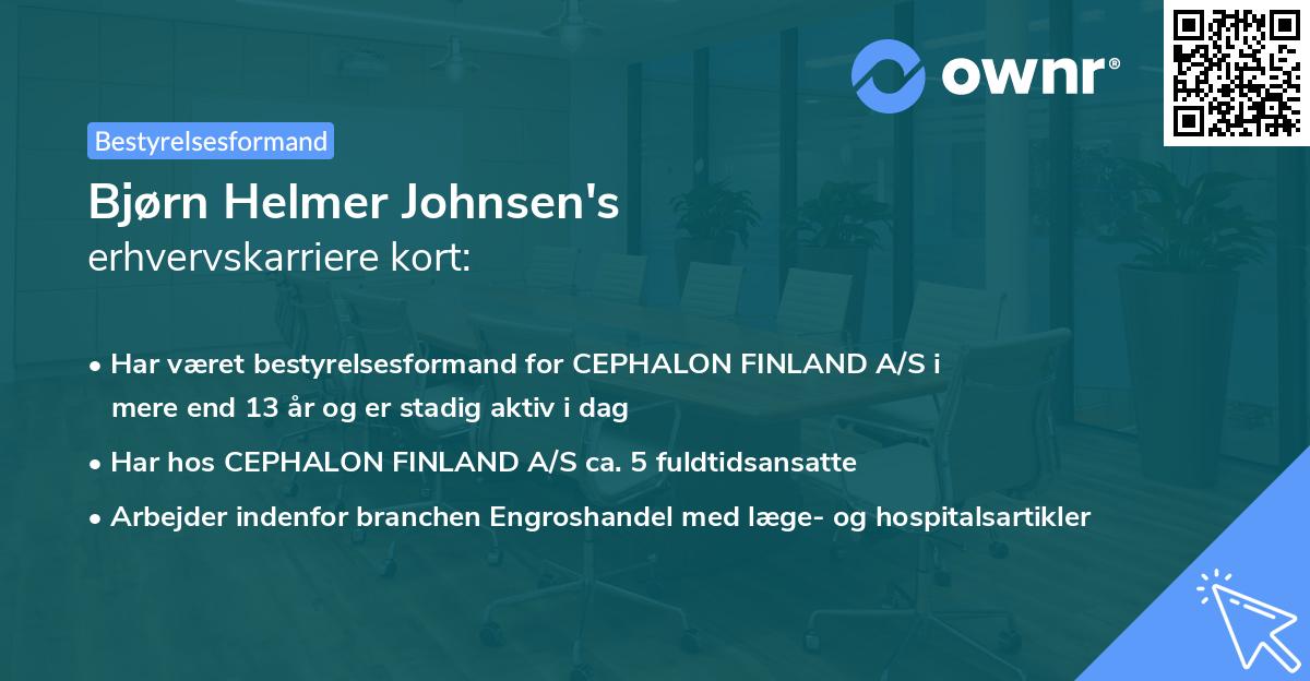 Bjørn Helmer Johnsen's erhvervskarriere kort