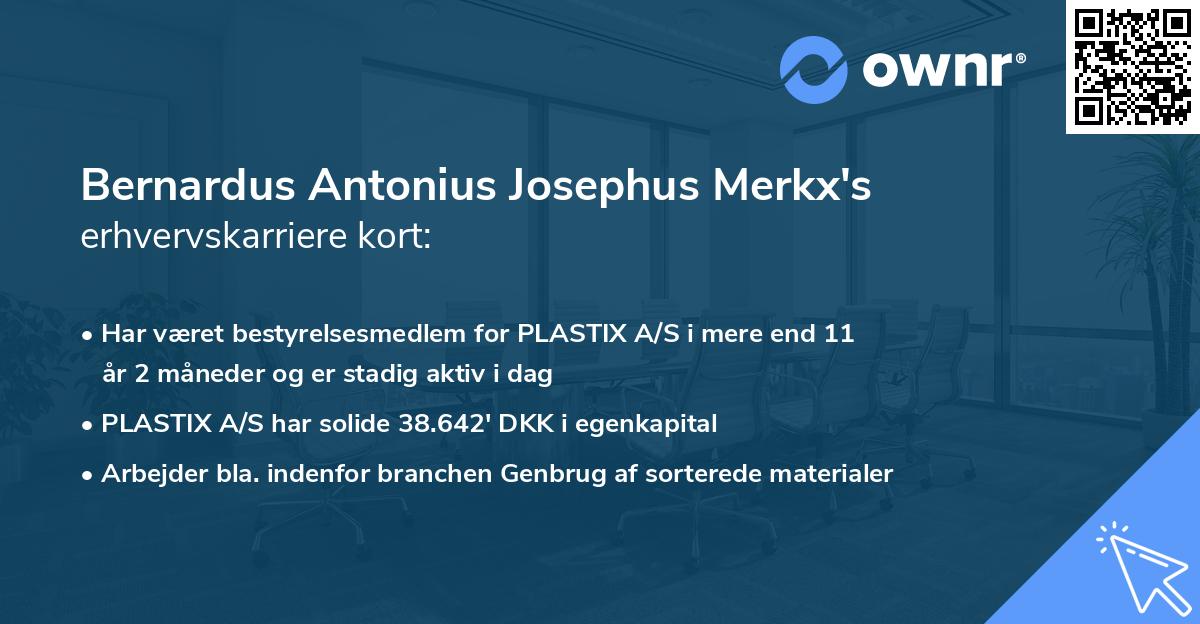 Bernardus Antonius Josephus Merkx's erhvervskarriere kort