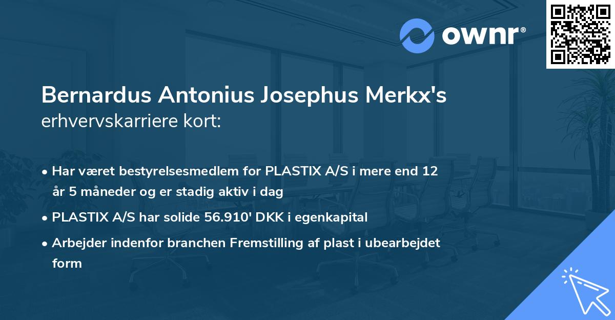 Bernardus Antonius Josephus Merkx's erhvervskarriere kort