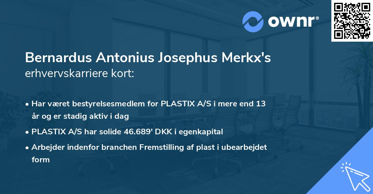 Bernardus Antonius Josephus Merkx's erhvervskarriere kort