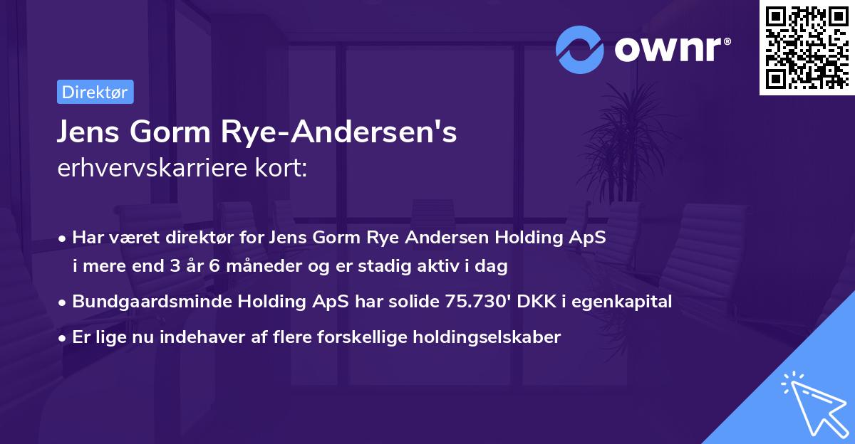 Jens Gorm Rye-Andersen's erhvervskarriere kort