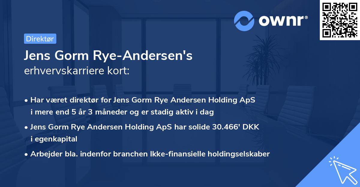 Jens Gorm Rye-Andersen's erhvervskarriere kort