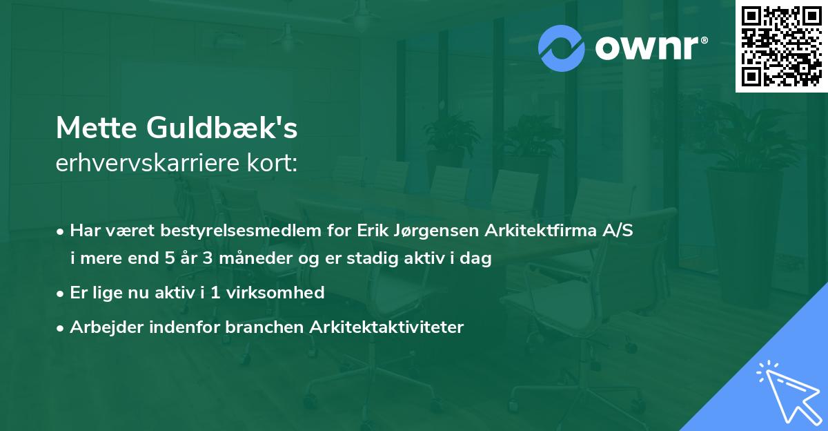 Mette Guldbæk's erhvervskarriere kort