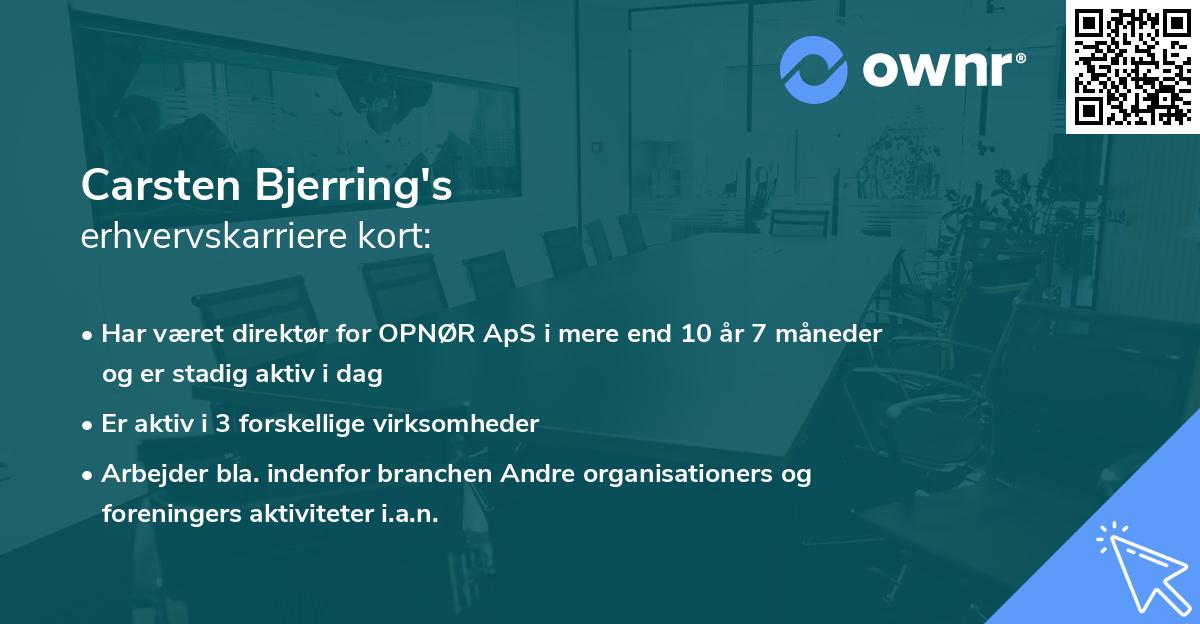 Carsten Bjerring's erhvervskarriere kort