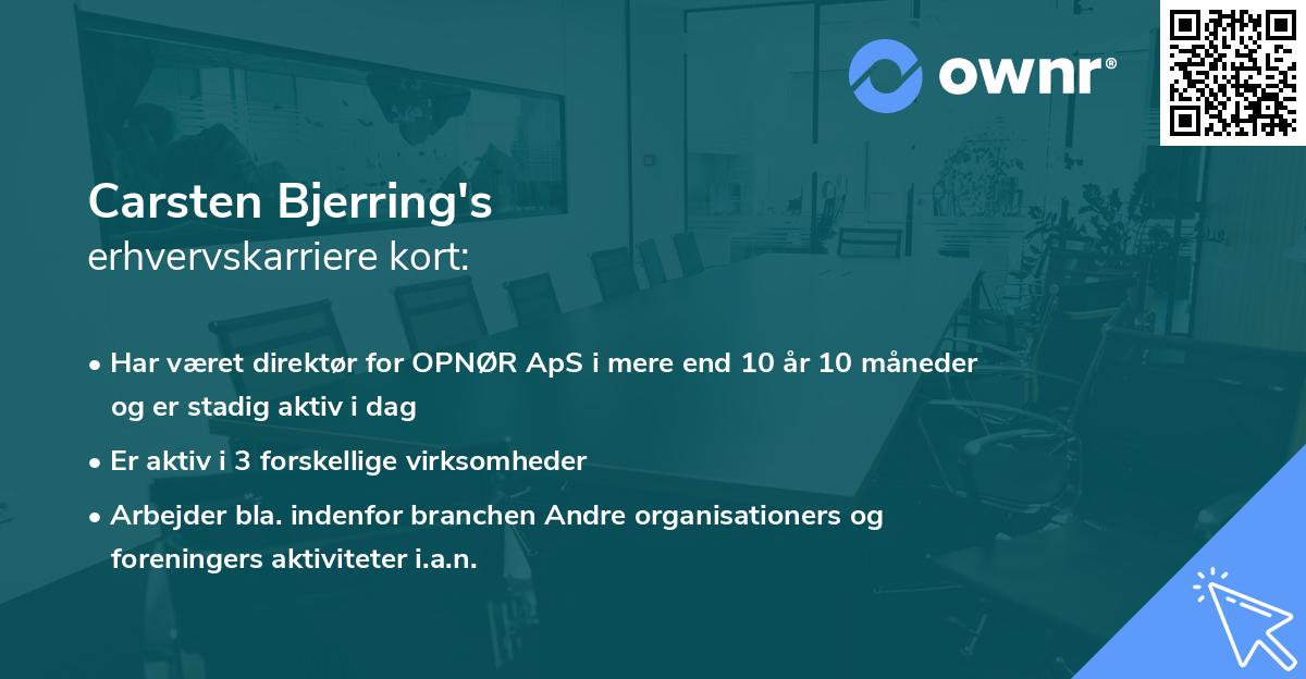 Carsten Bjerring's erhvervskarriere kort