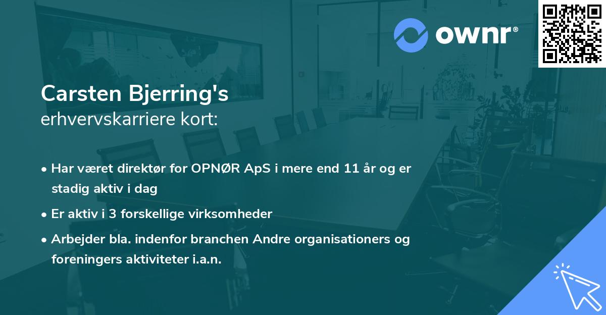 Carsten Bjerring's erhvervskarriere kort