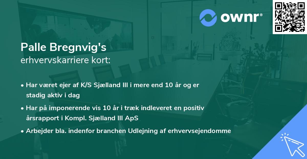 Palle Bregnvig's erhvervskarriere kort