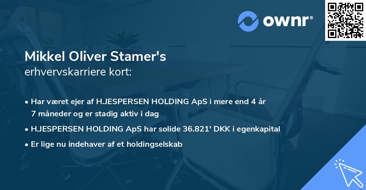 Mikkel Oliver Stamer's erhvervskarriere kort