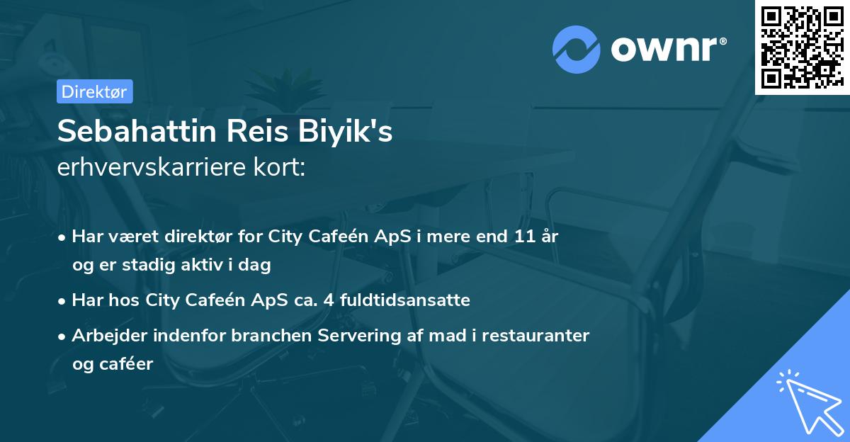 Sebahattin Reis Biyik's erhvervskarriere kort